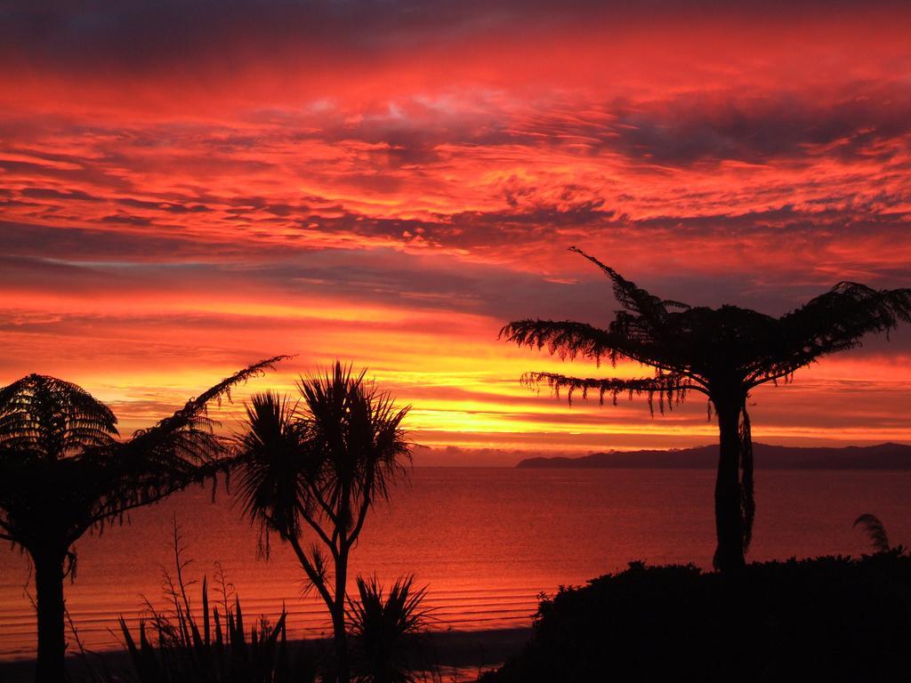 Adrift In Golden Bay- Absolute Beachfront Villas (Adults Only) Collingwood Camera foto